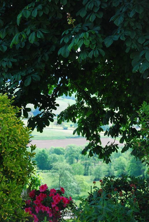 Hotel La Ferme Berger Les Ardillats Exteriér fotografie