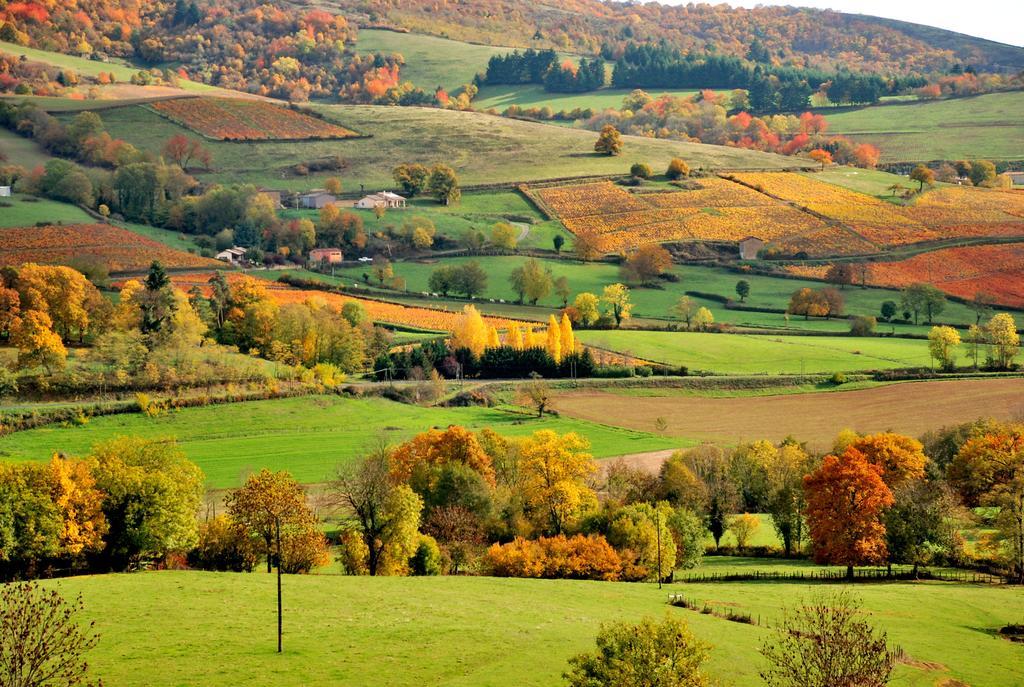 Hotel La Ferme Berger Les Ardillats Exteriér fotografie